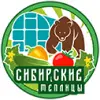 Сибирские теплицы-логотип